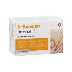 Import produktów XML malowia.pl
